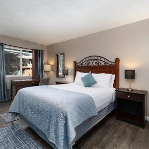 3* Hotel The Alder